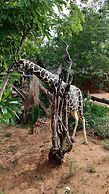 Elephant Trail Guesthouse and Backpackers