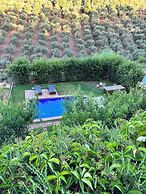 Physis Villas Chania