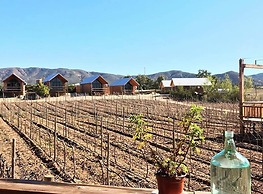 Don Tomas Viñedo Cabañas