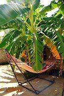 Jamboland-Diani