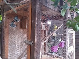 Assaf's Cabin