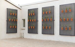 3 Lux Suites