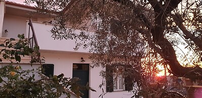 B&B Il Falco e l'Ulivo
