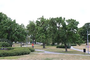 Alyhr Apartments