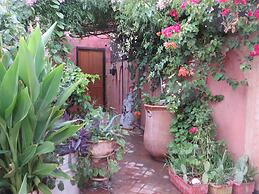 Riad Maizie