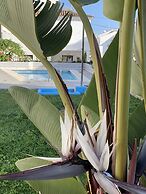 Casa María