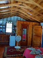 Carolyns House