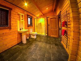 New Forest Lodges