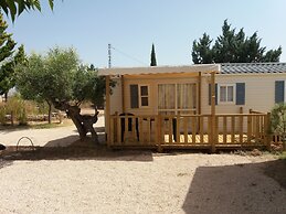 Camping Bola