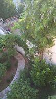 Sutomore View