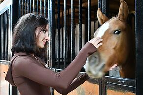 Castle Nolana Hotel & Horse Club