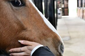 Castle Nolana Hotel & Horse Club