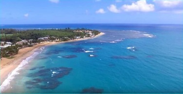 Gorgeous Beach Front Studio
