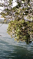 Mahun on the Lagoon Bungalows