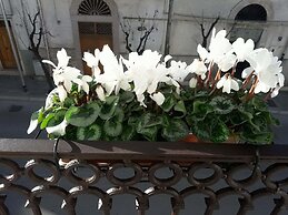 B&B Saffi