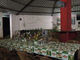 Jungle Nest Homestay