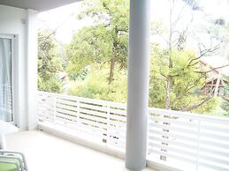 Avutarda de Carilo