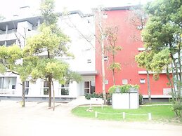 Avutarda de Carilo