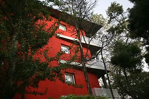 Avutarda de Carilo