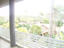 Avutarda de Carilo