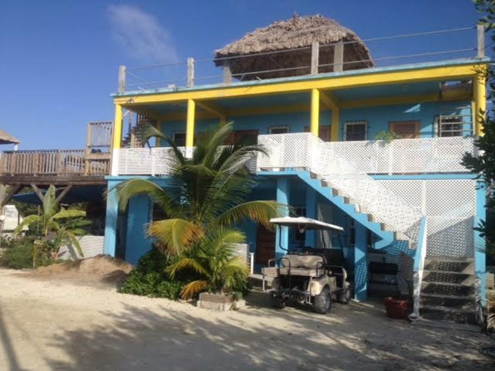 Trellis House 1