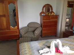 Trellis House 1