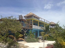 Trellis House 2