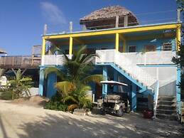 Trellis House 2