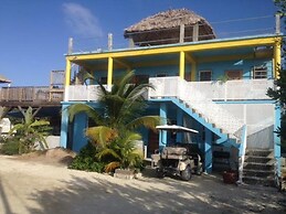Trellis House 3