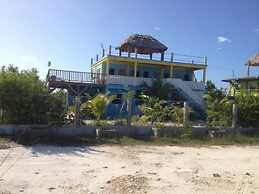 Trellis House 3