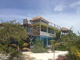 Trellis House 3