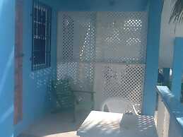 Trellis House 3