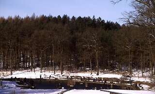 Pension & Gasthaus Kattenstieg