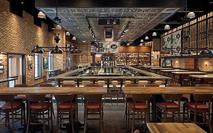 MGM Springfield