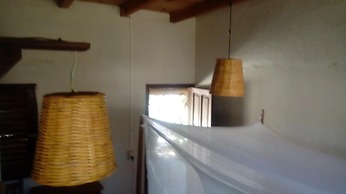 Altamira Mazunte