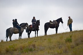 Oudebosch Guest Farm
