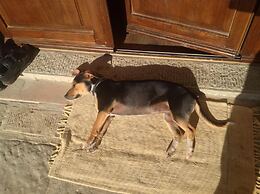 A'Loro B&B