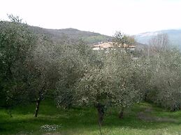 Agriturismo le Cammarose