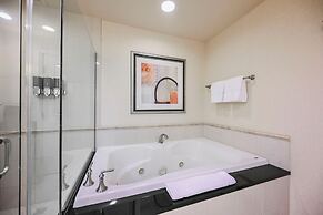 StripViewSuites at Signature