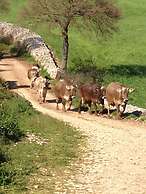 Masseria Santanna
