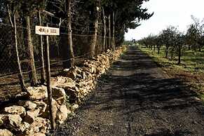 Agriturismo Carbona