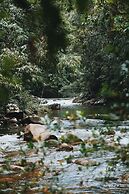 Sinharaja Forest Gate
