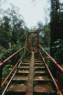 Sinharaja Forest Gate