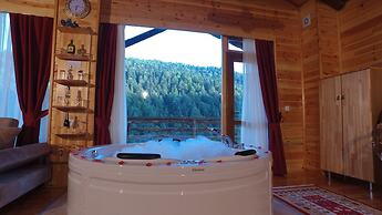 Abant Kartal Yuvasi Hotel