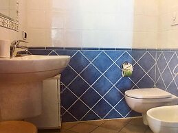 B&B Amphisya
