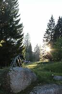 Schwarzwald- Hotel Kräutle