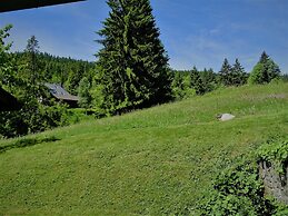 Schwarzwald- Hotel Kräutle