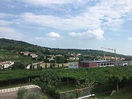 La Bella Vigna
