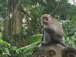 Buda Cottage Ubud
