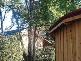 Des Branches & Vous